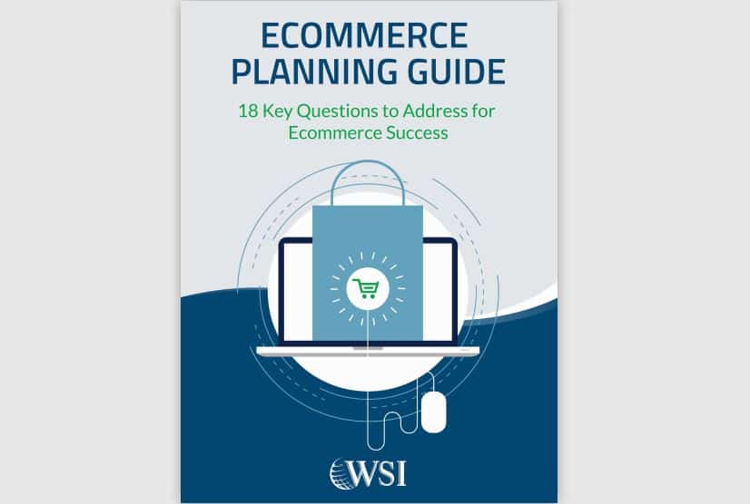Capability 2 - Advanced digital marketing solutions by WSI Strategies